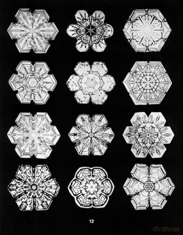 Snowflakes in Photographs [KSIĄŻKA]