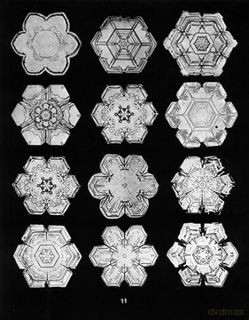 Snowflakes in Photographs [KSIĄŻKA]