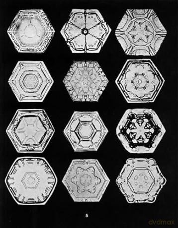 Snowflakes in Photographs [KSIĄŻKA]