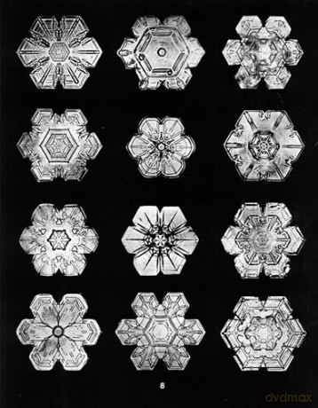 Snowflakes in Photographs [KSIĄŻKA]