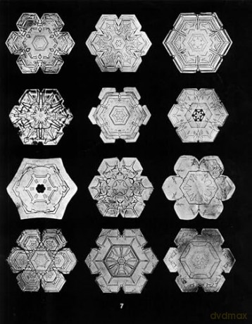 Snowflakes in Photographs [KSIĄŻKA]