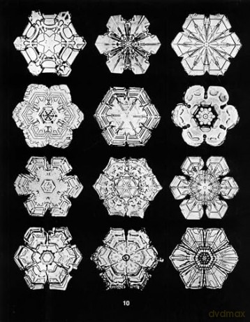 Snowflakes in Photographs [KSIĄŻKA]