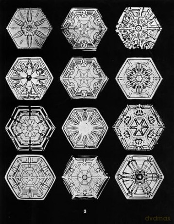 Snowflakes in Photographs [KSIĄŻKA]