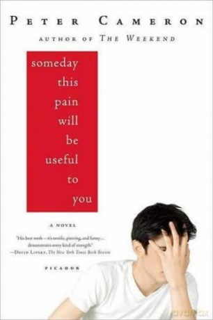 Someday This Pain Will Be Useful to You: A Novel [KSIĄŻKA]