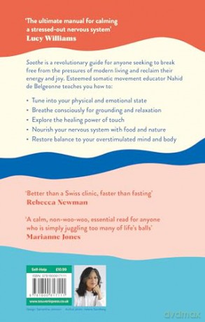 Soothe: The book your nervous system has been longing for [KSIĄŻKA]