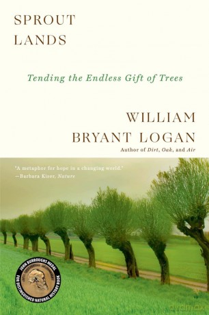 Sprout Lands: Tending the Endless Gift of Trees [KSIĄŻKA]