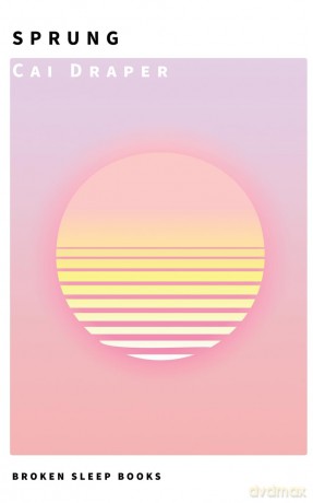 Sprung [KSIĄŻKA]