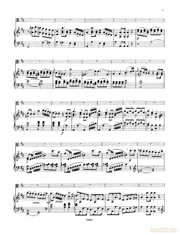 Stamitz: Concerto in D Op.1 [KSIĄŻKA]
