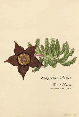 Stapelia Mixta [KSIĄŻKA]