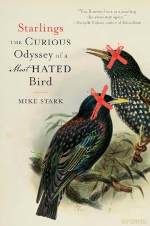 Starlings: The Curious Odyssey of a Most Hated Bird [KSIĄŻKA]