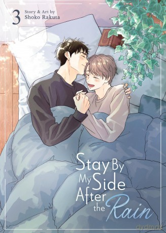 Stay By My Side After the Rain Vol. 3 [KOMIKS]