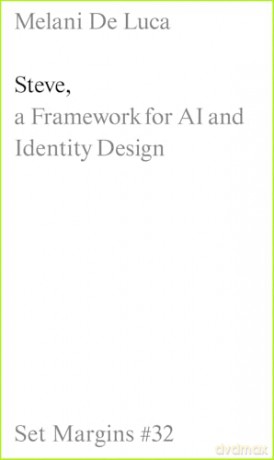 Steve: A Framework for AI and Identity Design [KSIĄŻKA]