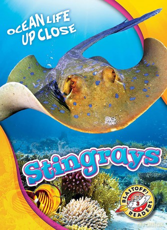 Stingrays [KSIĄŻKA]