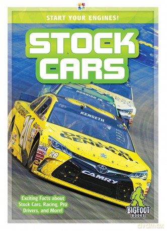 Stock Cars [KSIĄŻKA]