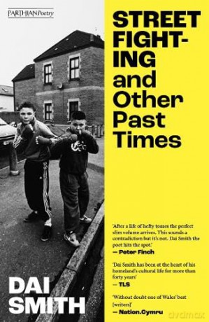 Street Fighting and other Past Times [KSIĄŻKA]