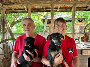 Street Hearts: An Extraordinary Story of Saving Street Dogs [KSIĄŻKA]