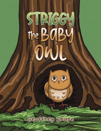 Striggy the Baby Owl [KSIĄŻKA]