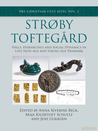 Stroby Toftegard: Halls, Hierarchies and Social Dynamics in Late Iron Age and Viking Age Denmark [KSIĄŻKA]