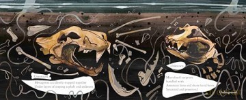 Stuck! The Story of La Brea Tar Pits [KSIĄŻKA]