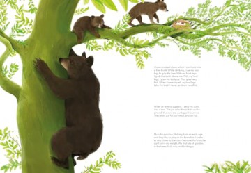 Super Animals. Climbers: 6 [KSIĄŻKA]