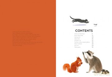 Super Animals. Climbers: 6 [KSIĄŻKA]