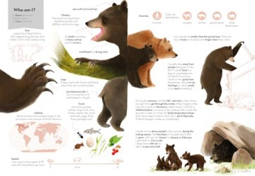 Super Animals. Climbers: 6 [KSIĄŻKA]