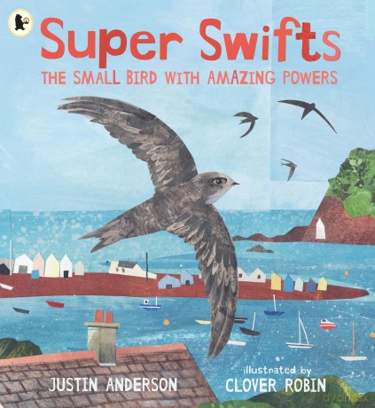 Super Swifts: The Small Bird With Amazing Powers [KSIĄŻKA]