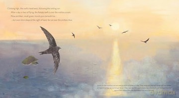 Super Swifts: The Small Bird With Amazing Powers [KSIĄŻKA]