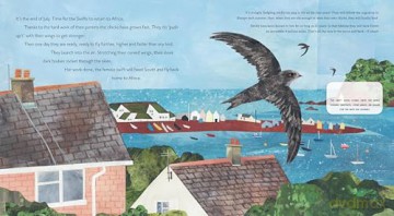 Super Swifts: The Small Bird With Amazing Powers [KSIĄŻKA]