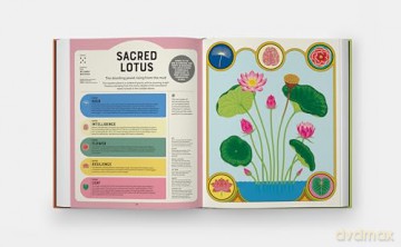 Superpowered Plants: Meet the Smartest, Strongest, and Sneakiest Plants [KSIĄŻKA]