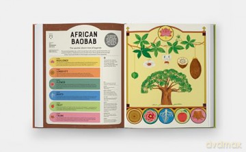 Superpowered Plants: Meet the Smartest, Strongest, and Sneakiest Plants [KSIĄŻKA]