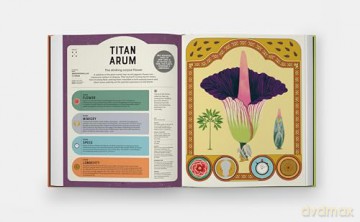 Superpowered Plants: Meet the Smartest, Strongest, and Sneakiest Plants [KSIĄŻKA]