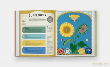 Superpowered Plants: Meet the Smartest, Strongest, and Sneakiest Plants [KSIĄŻKA]