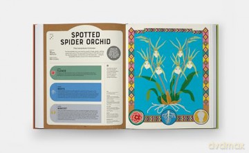 Superpowered Plants: Meet the Smartest, Strongest, and Sneakiest Plants [KSIĄŻKA]