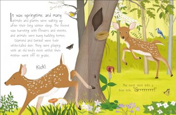 Tales from the Forest: Children's Heartwarming Storybook [KSIĄŻKA]