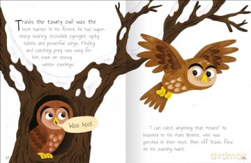 Tales from the Forest: Children's Heartwarming Storybook [KSIĄŻKA]