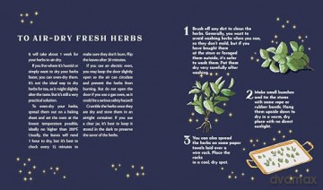Tea Magic: Cozy Spells in a Cup [KSIĄŻKA]
