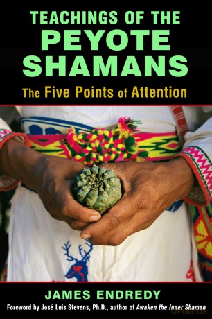 Teachings of the Peyote Shamans: The Five Points of Attention [KSIĄŻKA]