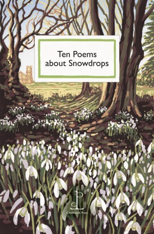 Ten Poems about Snowdrops [KSIĄŻKA]