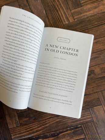 The Angel Orphan: Charlotte Mason Finds Her Way Home - Tales of Boldness and Faith - Book 1 [KSIĄŻKA]