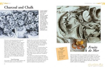 The Artist's Handbook: A Practical Manual and Inspirational Guide in One Volume, with Over 30 Projects and 475 Step-by-step Photographs [KSIĄŻKA]