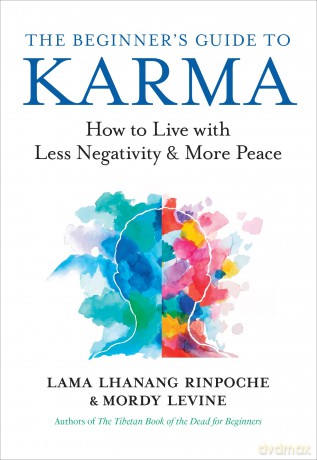 The Beginner's Guide to Karma: How to Live with Less Negativity and More Peace [KSIĄŻKA]