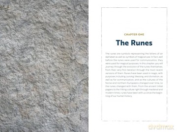 The Beginner's Guide to Runes: Divination and Magic with the Elder Futhark Runes [KSIĄŻKA]
