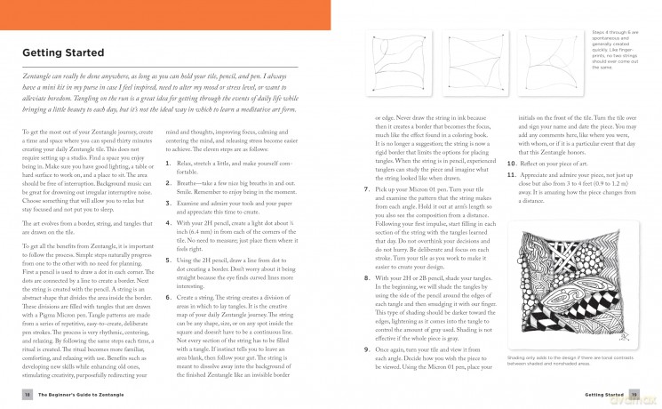 The Beginner's Guide to Zentangle: A Month-Long Course in Creative Drawing for Relaxation, Inspiration, and Fun! [KSIĄŻKA]