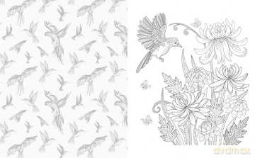 The Birds and Butterflies Colouring Book: Let your creativity take flight [KSIĄŻKA]