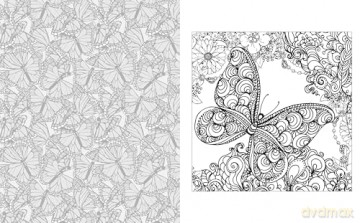 The Birds and Butterflies Colouring Book: Let your creativity take flight [KSIĄŻKA]