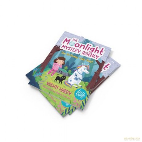 The Birthday Cake Thief: A brand-new series from bestselling author Vashti Hardy [KSIĄŻKA]