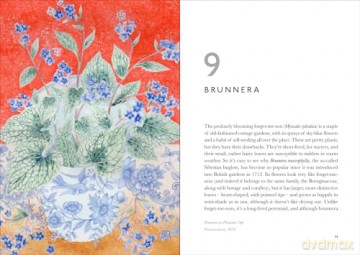 The Book of Garden Flowers [KSIĄŻKA]