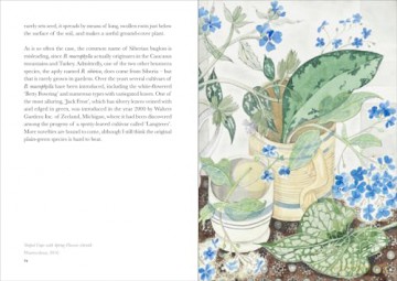 The Book of Garden Flowers [KSIĄŻKA]