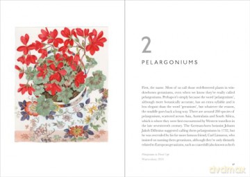 The Book of Garden Flowers [KSIĄŻKA]